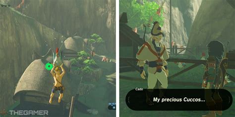 missing cuccos botw|Flown the Coop Walkthrough .